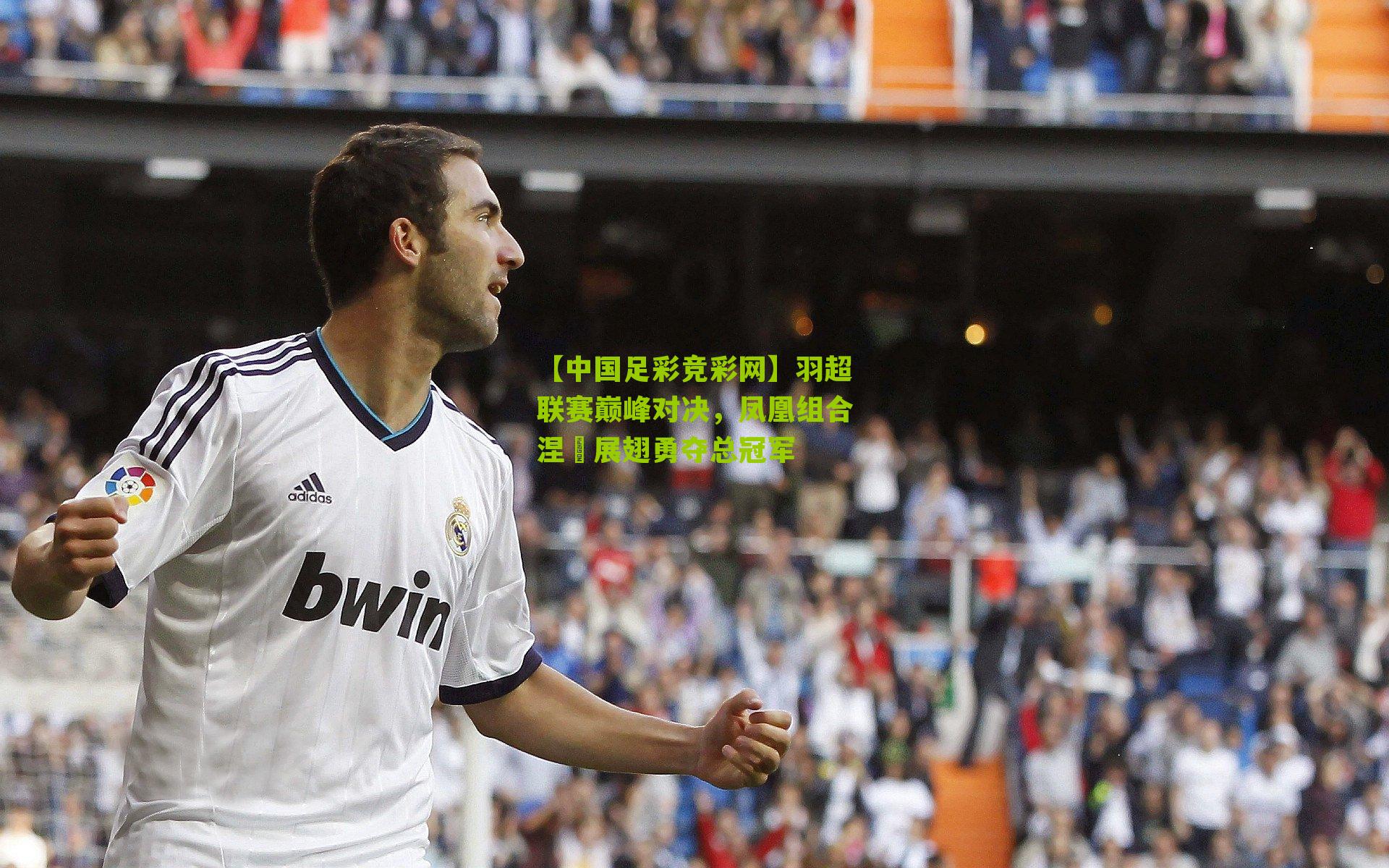 【中国足彩竞彩网】羽超联赛巅峰对决，凤凰组合涅槃展翅勇夺总冠军
